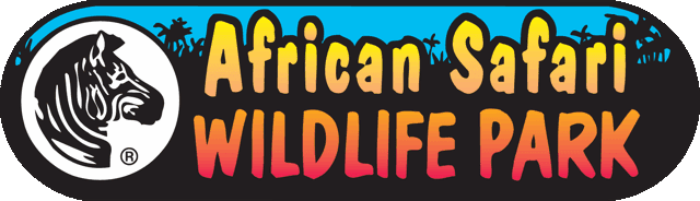 A black background with the words african wildlife written in yellow and red.